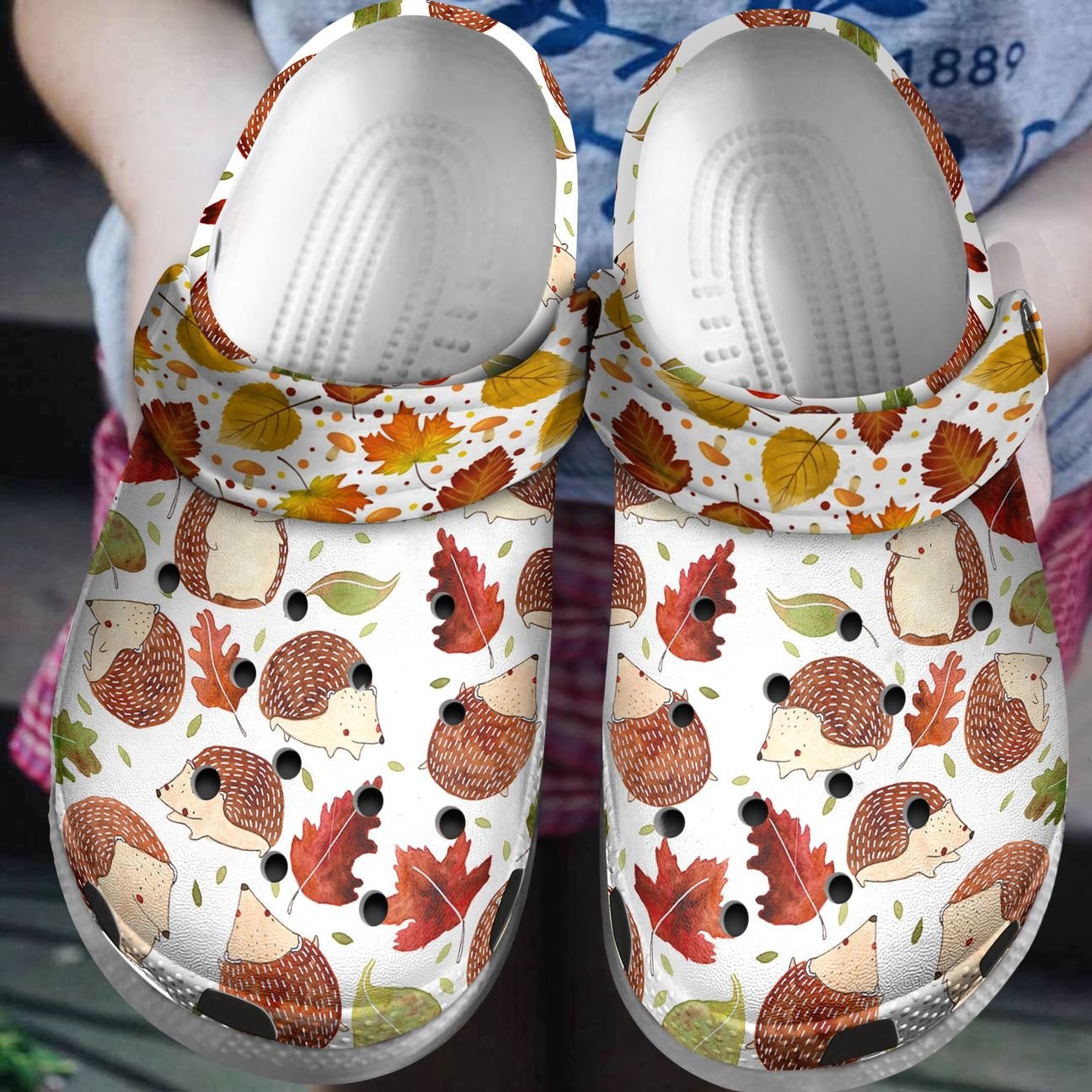 Hedgehog Personalized Clog, Custom Name, Text, Color, Number Fashion Style For Women, Men, Kid, Print 3D Autumn Is Here