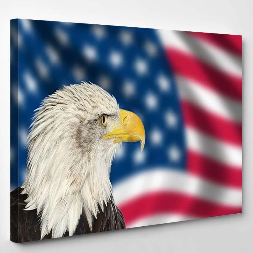 Portrait American Bal Eagle Against Usa – Eagle Animals Canvas Print