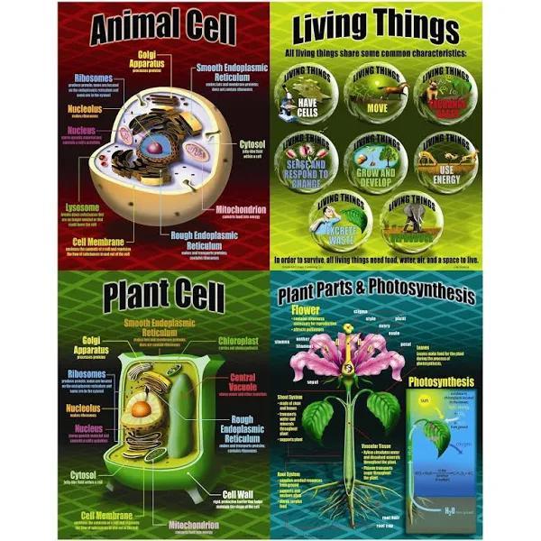 Life Science Teaching Portrait Poster & Canvas Gift For Teacher Wall Decor Wall Art Visual Art