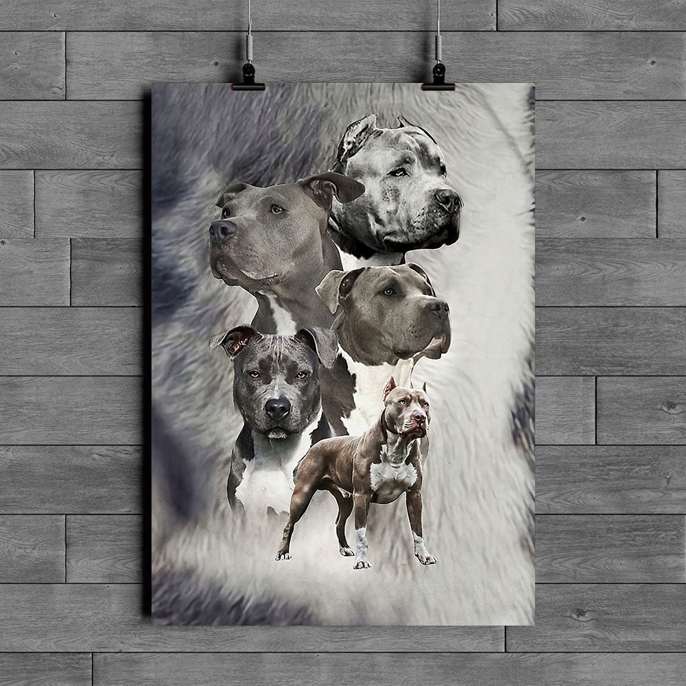 Pitbull Poster Bi260809Pt – MrDad Store