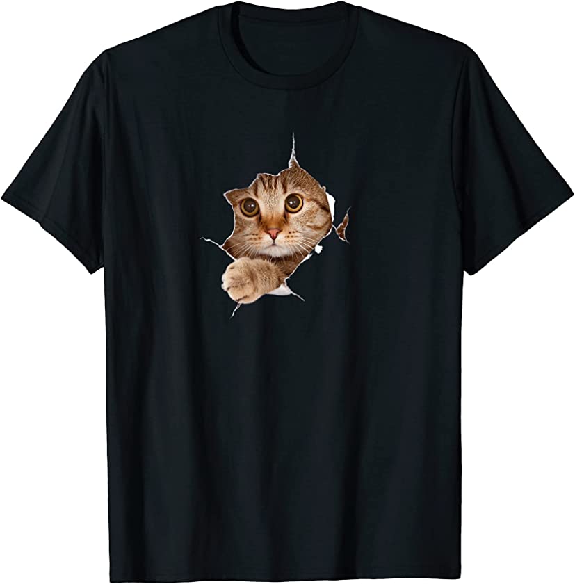 Cute Cat Shirt With Grey Cat Torn Cloth, Kitten T-Shirt