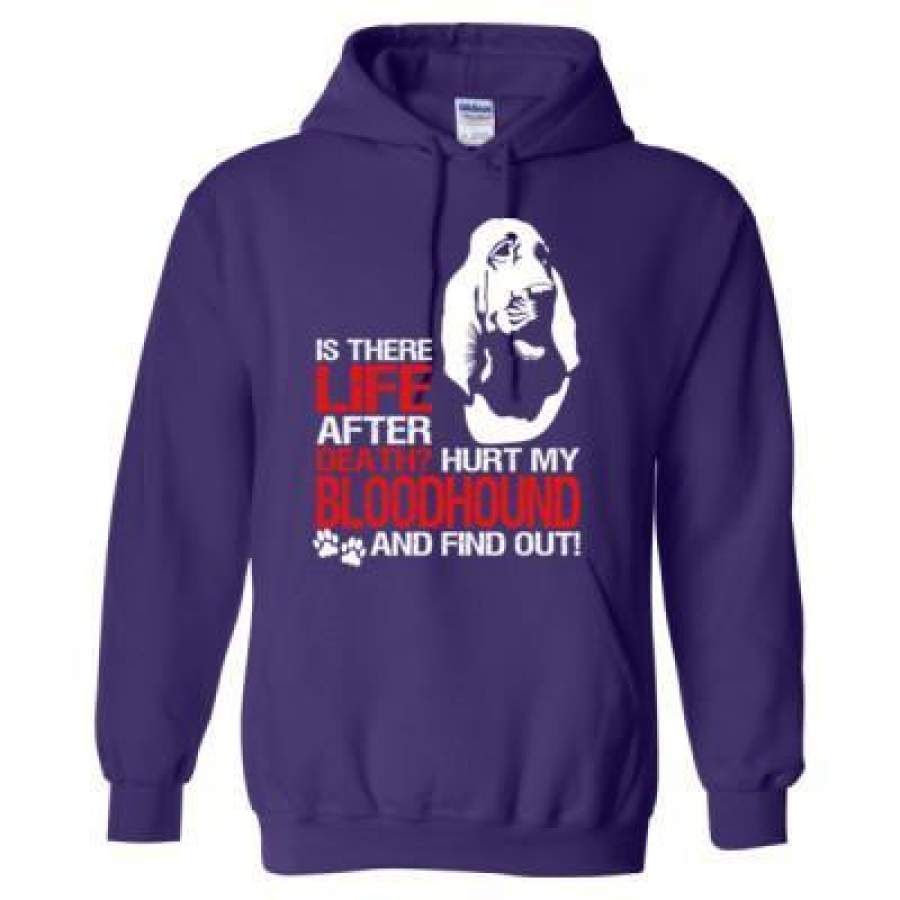 AGR Is There Life After Death Hurt My Bloodhound And Find Out – Heavy Blend™ Hooded Sweatshirt