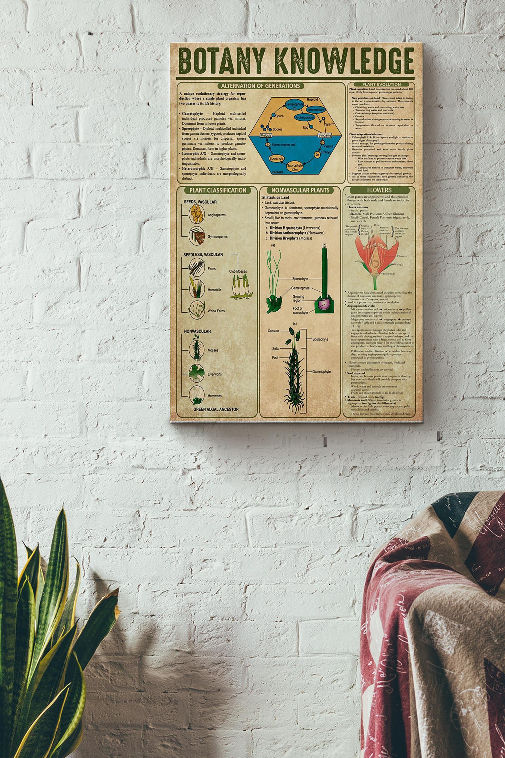 Botany Knowledge Things You Need To Know About Botany Poster Wrapped Canvas