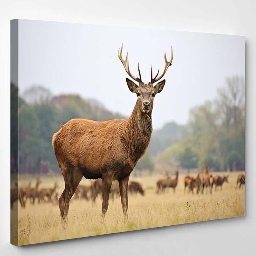 Portrait Majestic Powerful Adult Red Deer 2 – Deer Animals Canvas Print