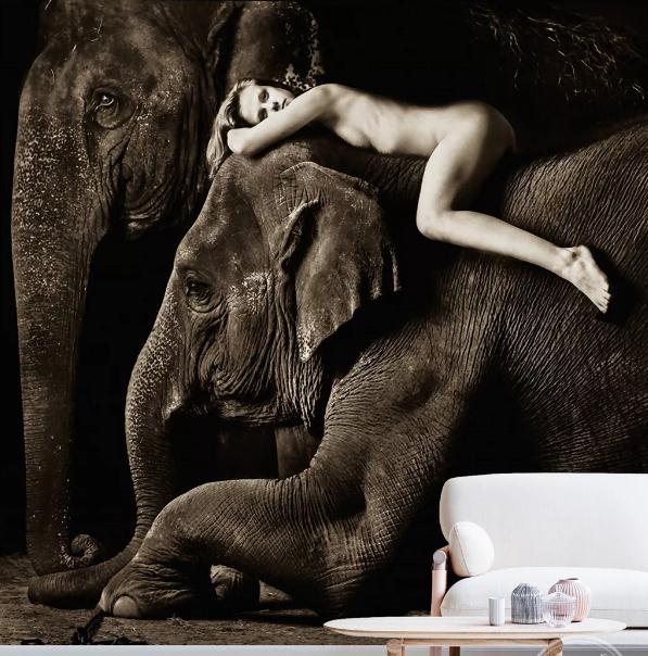 3D Grey Elephant Girl Wall Mural Wallpaper 75