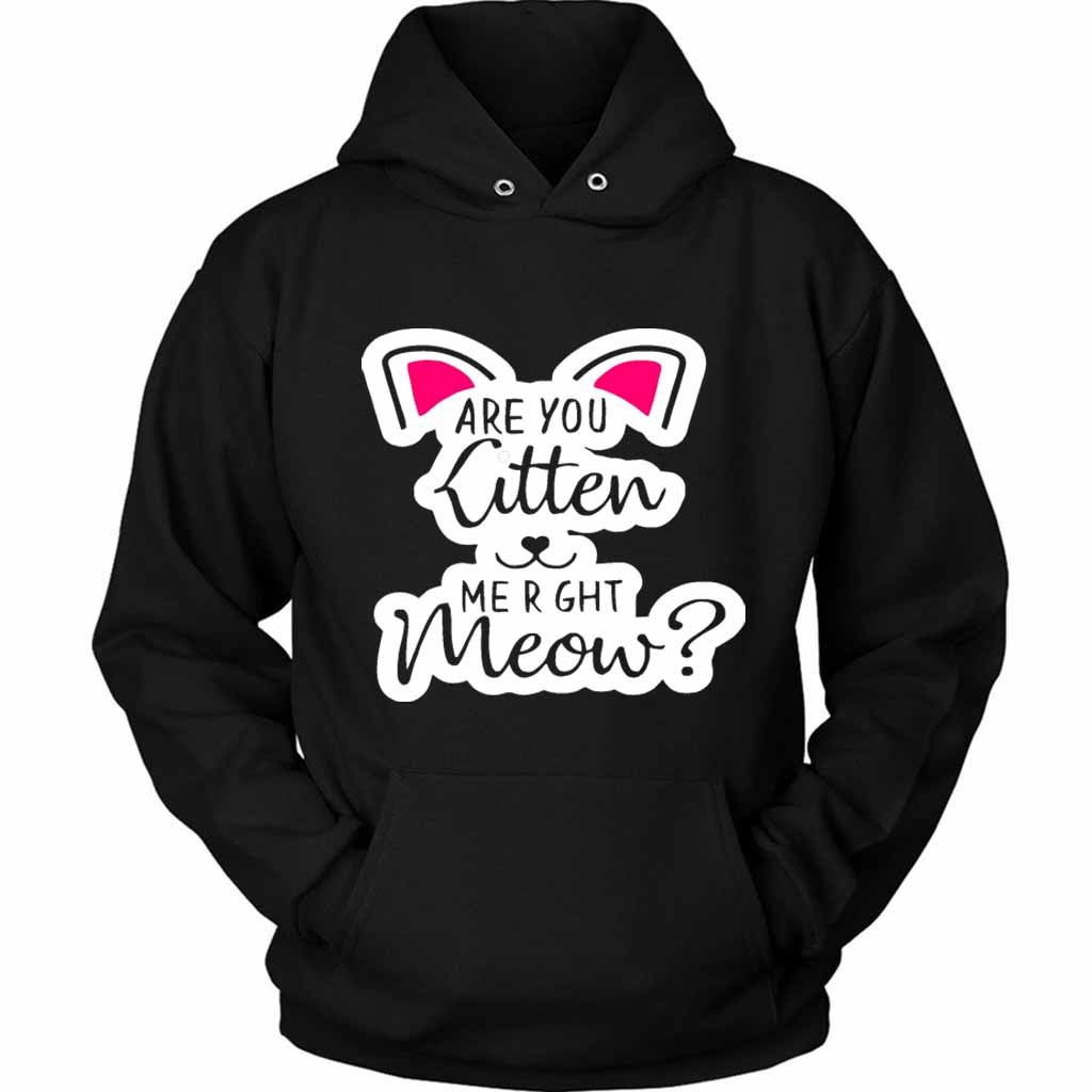 Are You Kitten Me Right Meow Kills Unisex Hoodie