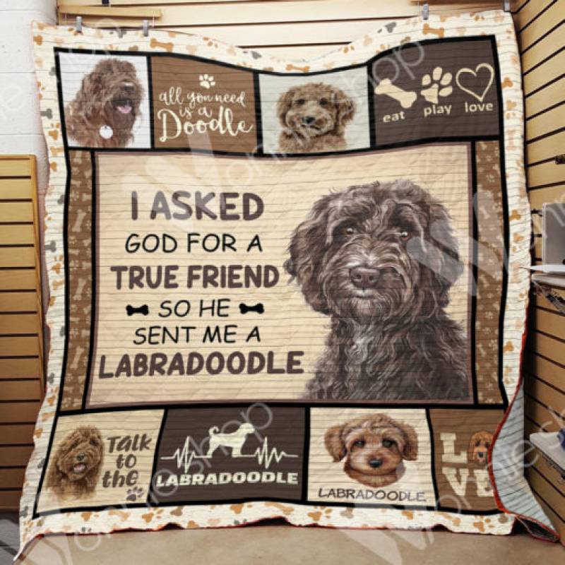 Labradoodle Dog Blanket NOV0801 85O34