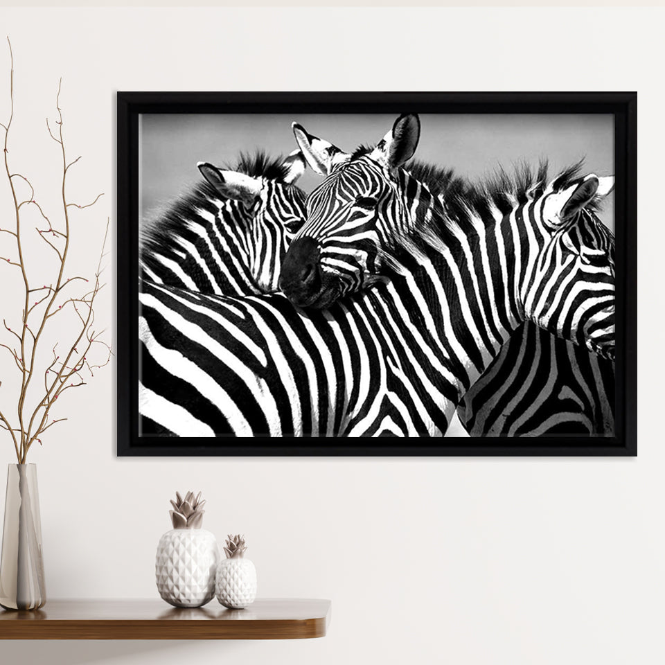 Family Of African Zebras Framed Canvas Print – Canvas Painting, Canvas Art, Wall Art, Wall Decor