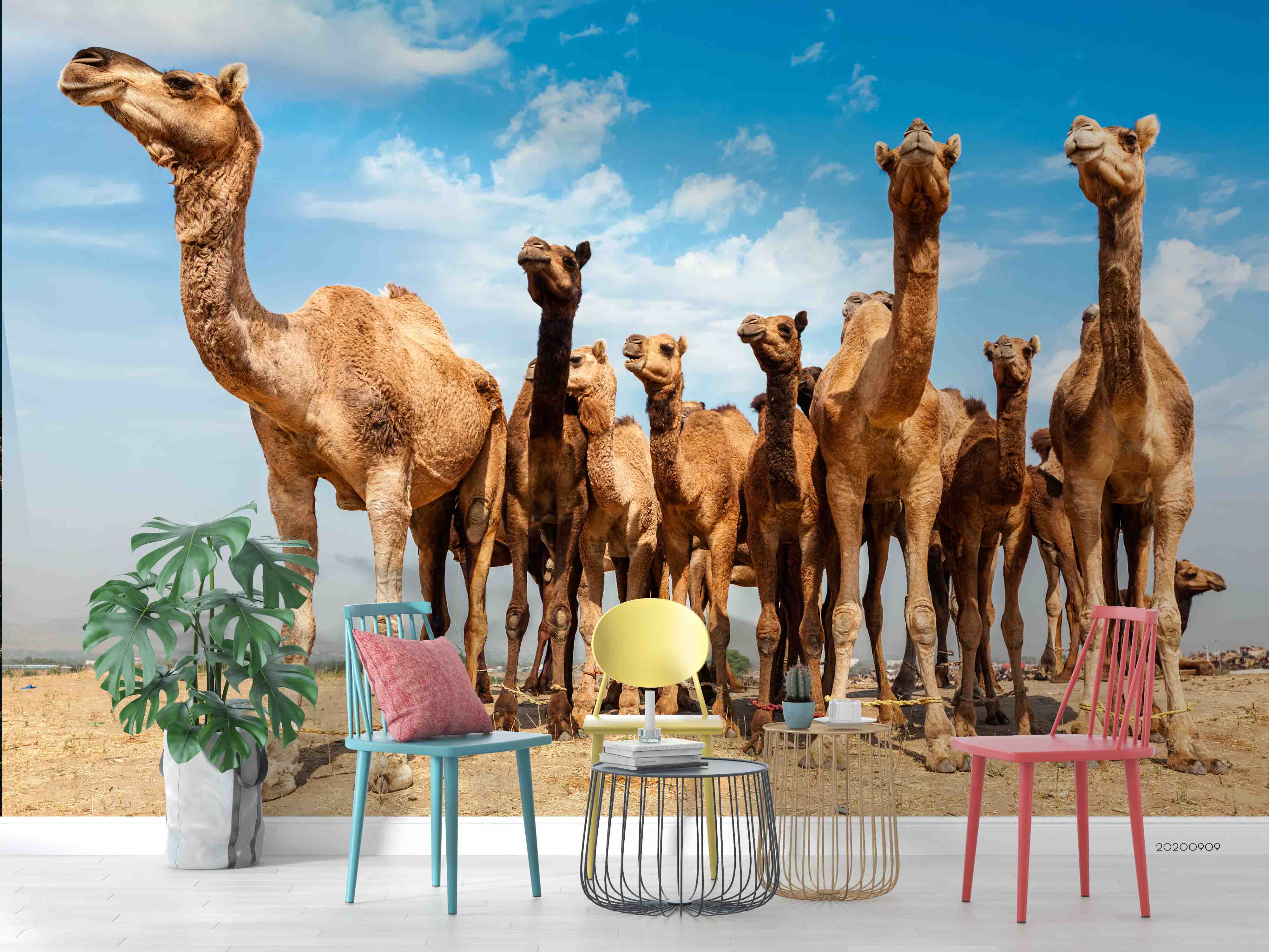 3D Blue Sky Could Camel Animal Wall Mural Wallpaper Lxl