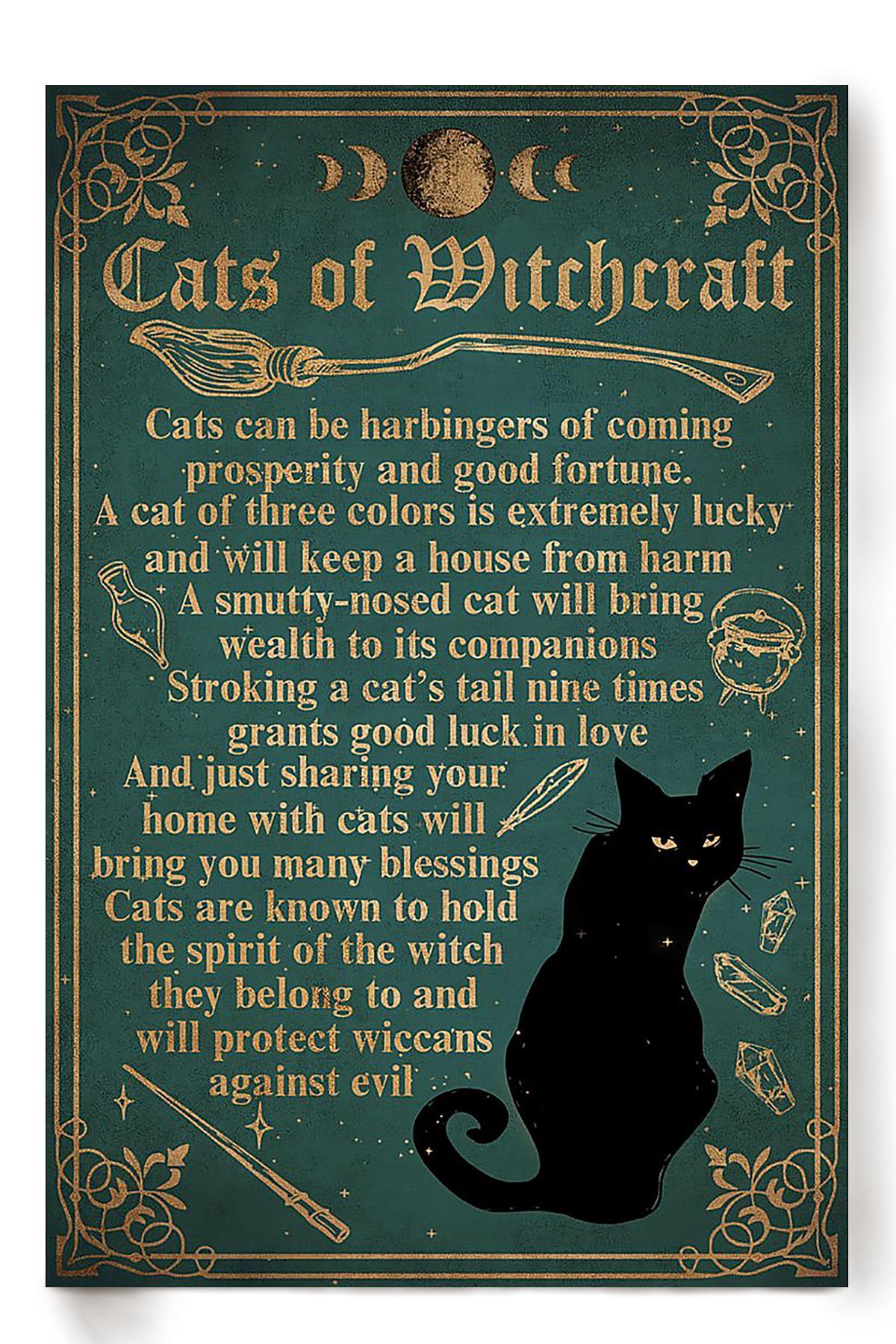 Cats Of Witchcraft Animal Wall Art Gift For Cat Lover International Cat Day Kitten Foster Poster