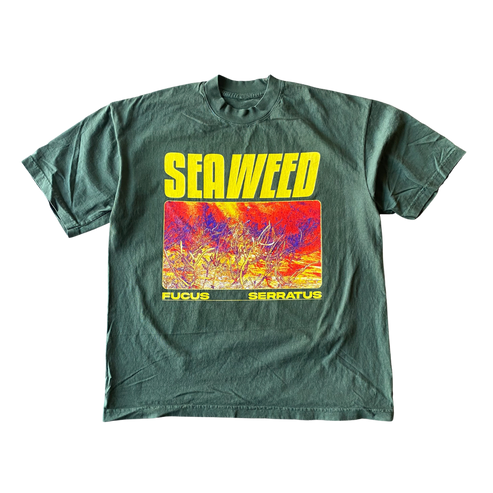 Seaweed v3 Tee Shirt Outfit