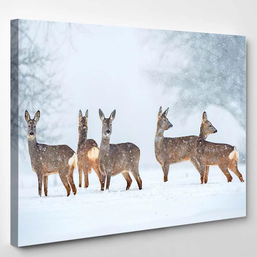 Wild Roe Deer Herd Snowfall – Deer Animals Canvas Print