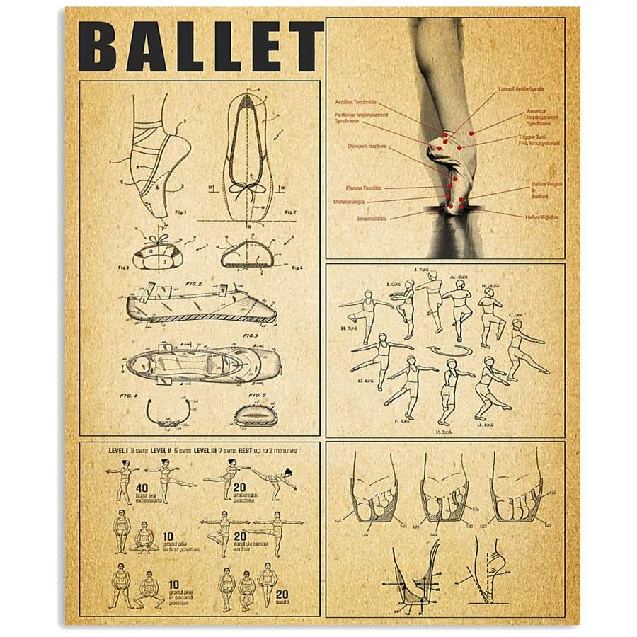 Ballet Knowledge Gift Vertical Poster