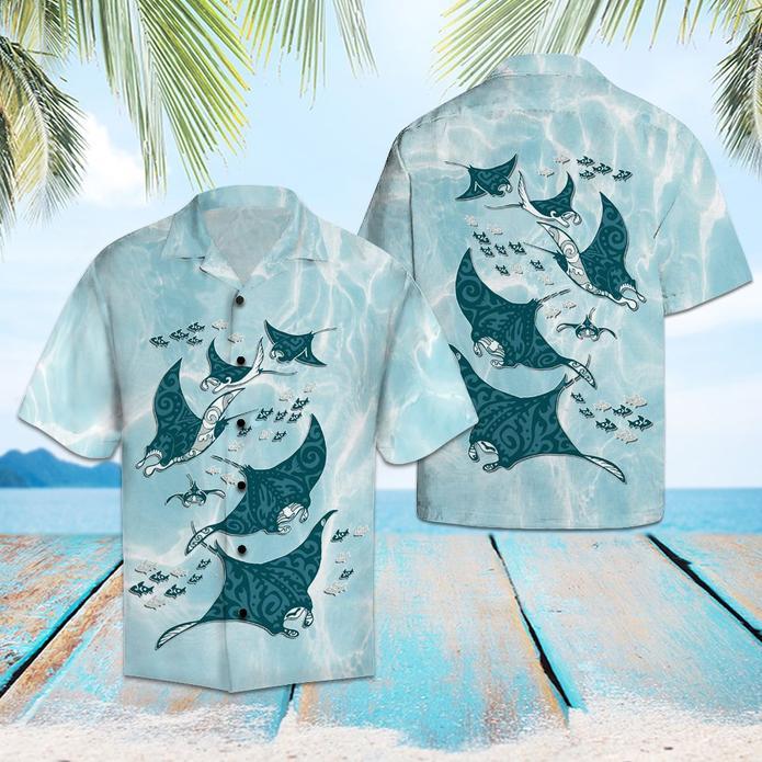 Amazing Ray Aloha Hawaii Shirts For Men Women Ha70834