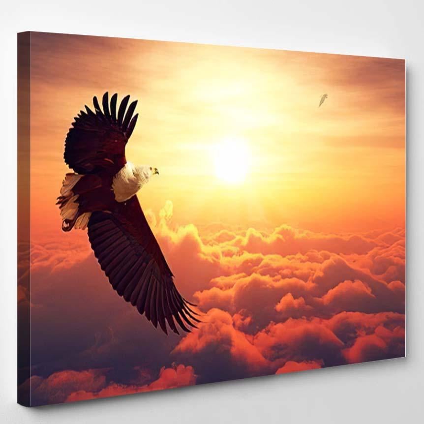 African Fish Eagle Flying High Above – Eagle Animals Canvas Print