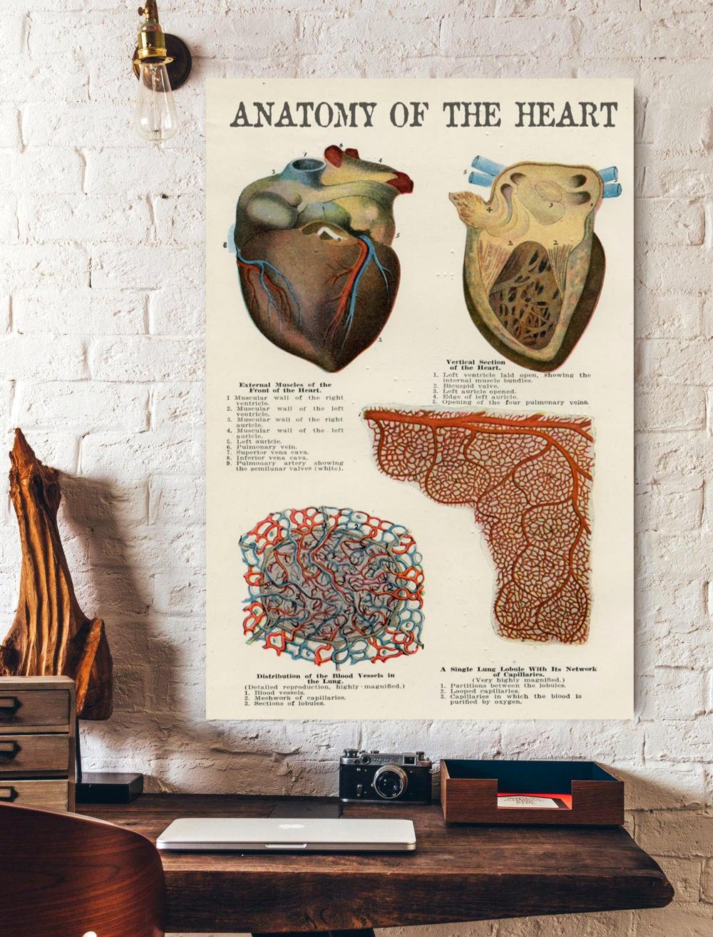 Anatomy Of The Heart Knowledge Vertical Print Poster