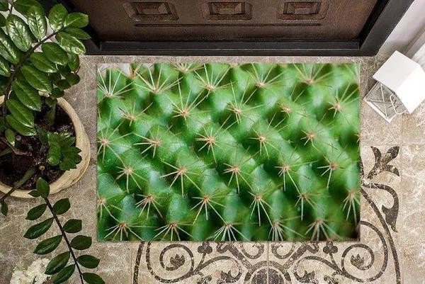 Cactus Plant Big Zoom 3D Flower Doormat Indoor And Outdoor Mat Entrance Rug Sweet Home Decor Closing Gift Gift For Friend Family Flower Lovers Gift Idea