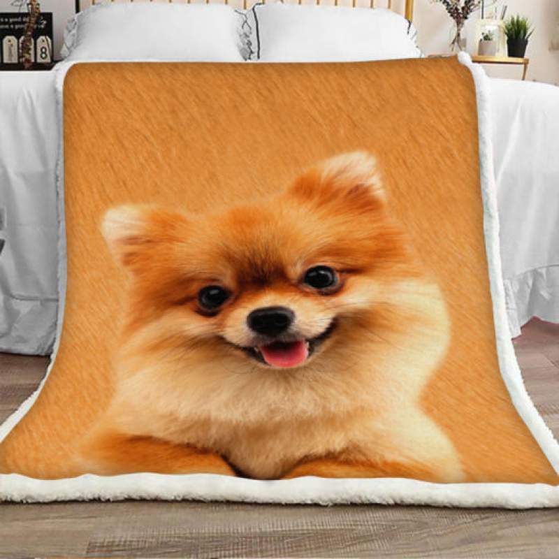 Pomeranian Dog Sherpa Blanket JR1501 68O57