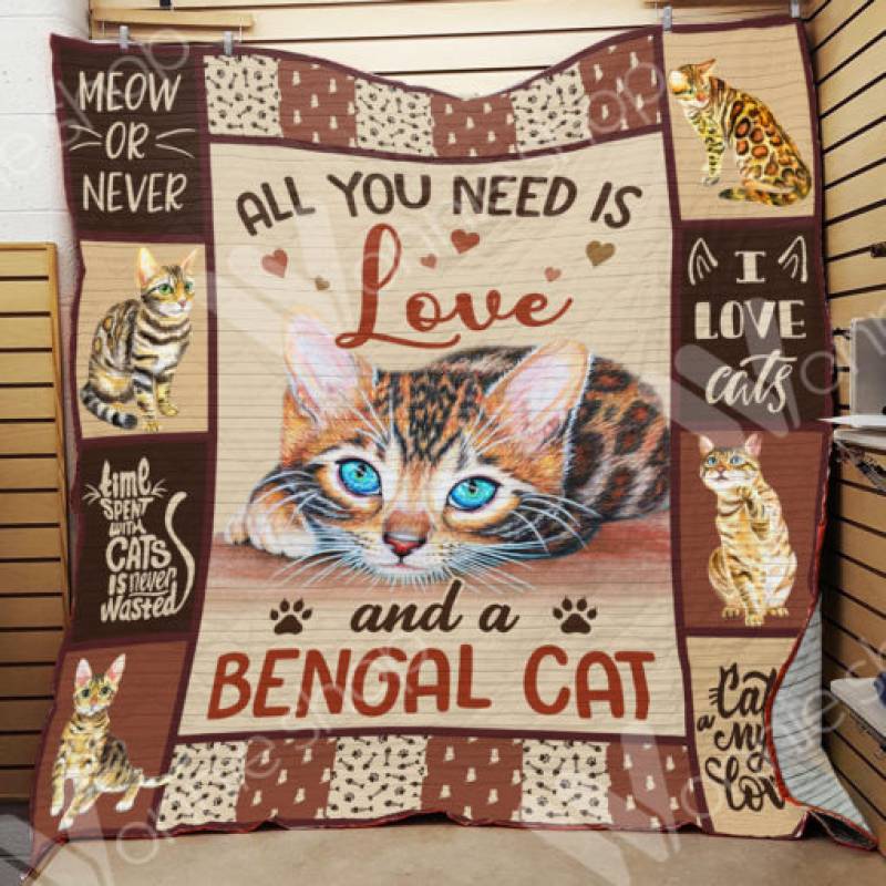 Bengal Cat Blanket DCB0401 77O42