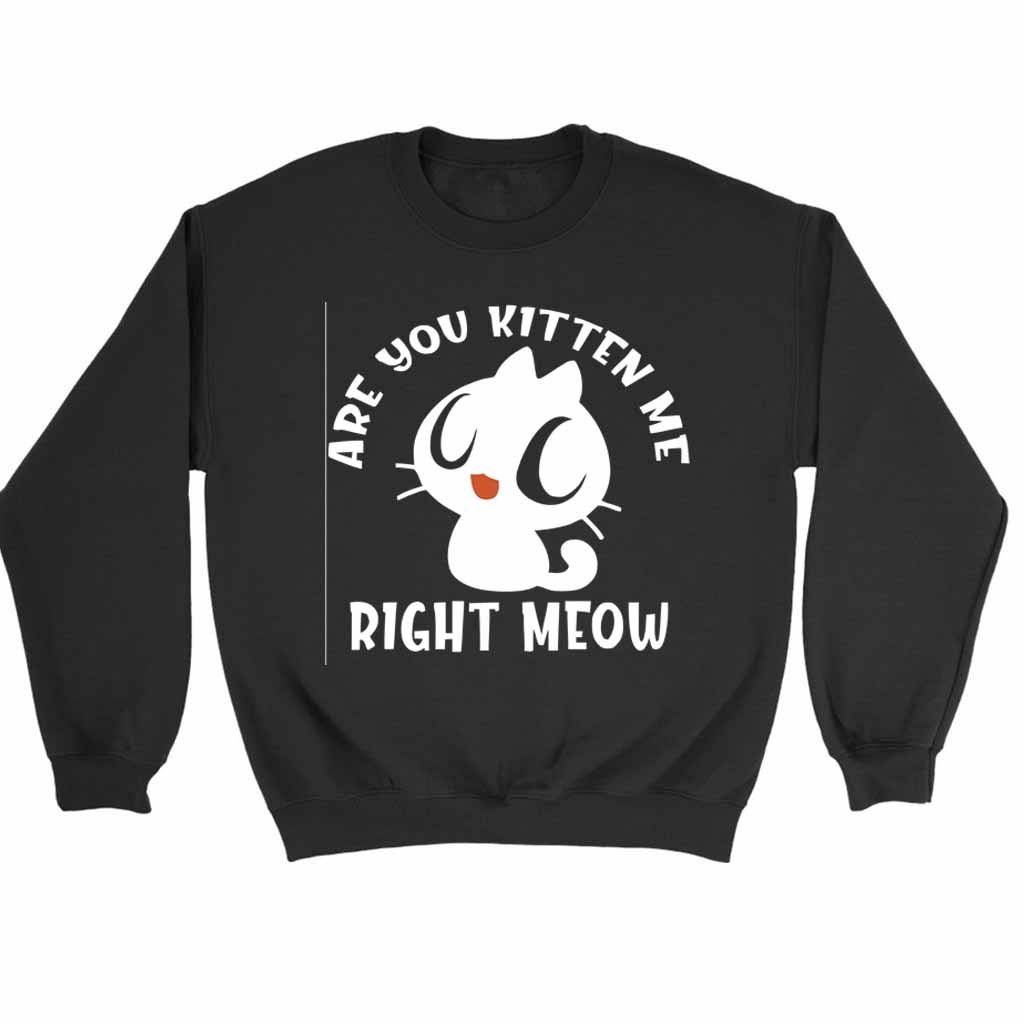 Are You Kitten Me Right Meow Range Sweatshirt Sweater