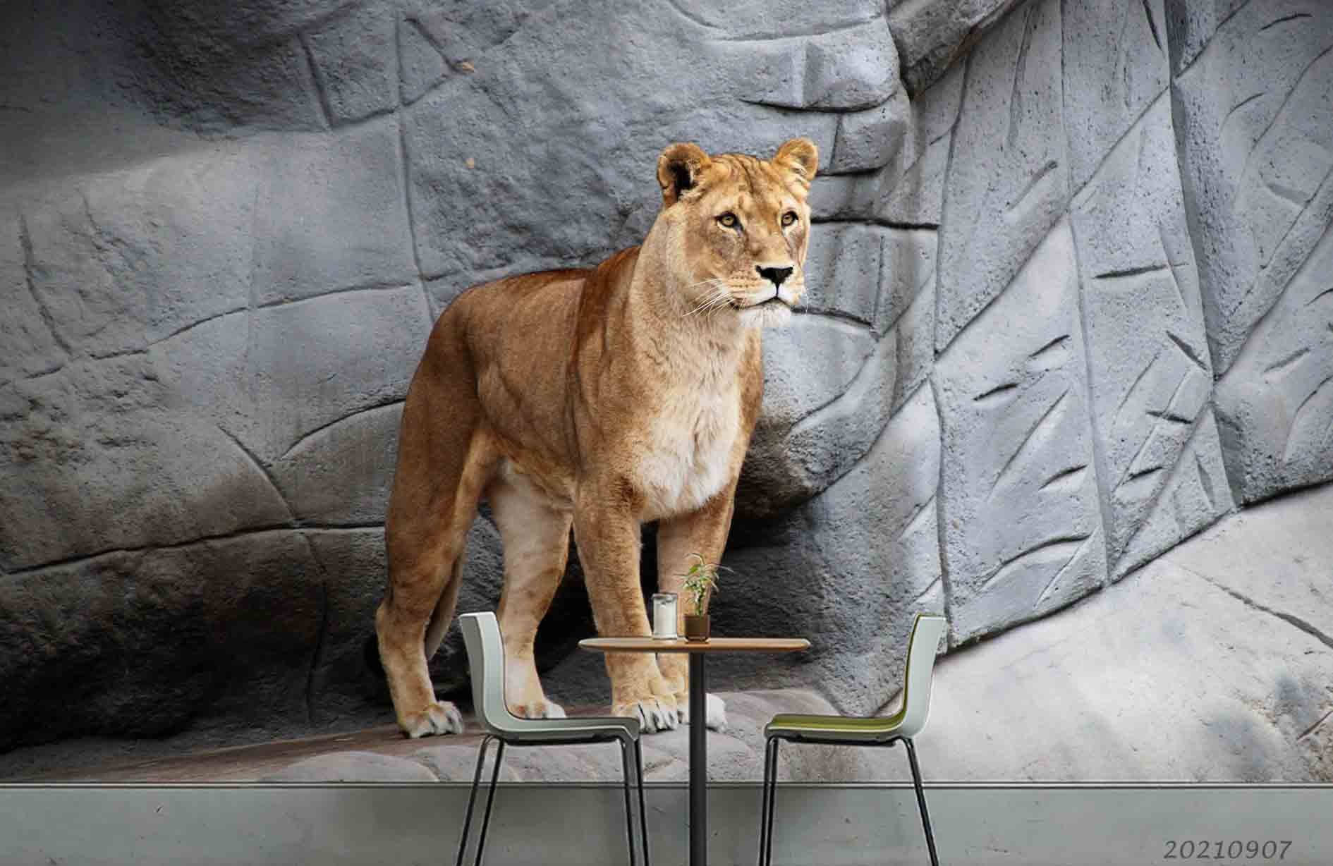 3D Zoo Animal Lion Wall Mural Wallpaper Lqh 100