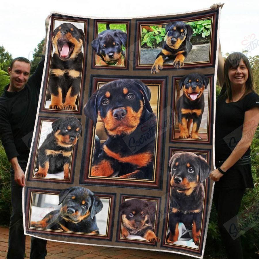 Rottweiler Puppy Am3010423Cl Fleece Blanket