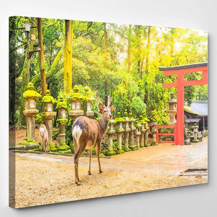 Wild Deer Nara Park Japan Symbol 1 – Deer Animals Canvas Print