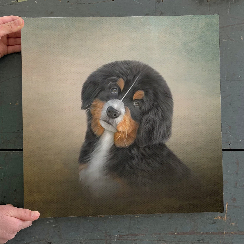 Dog Square Canvas – Drawing Puppy Bernese Mountain – Dog Canvas Print – Dog Wall Art Canvas – Furlidays