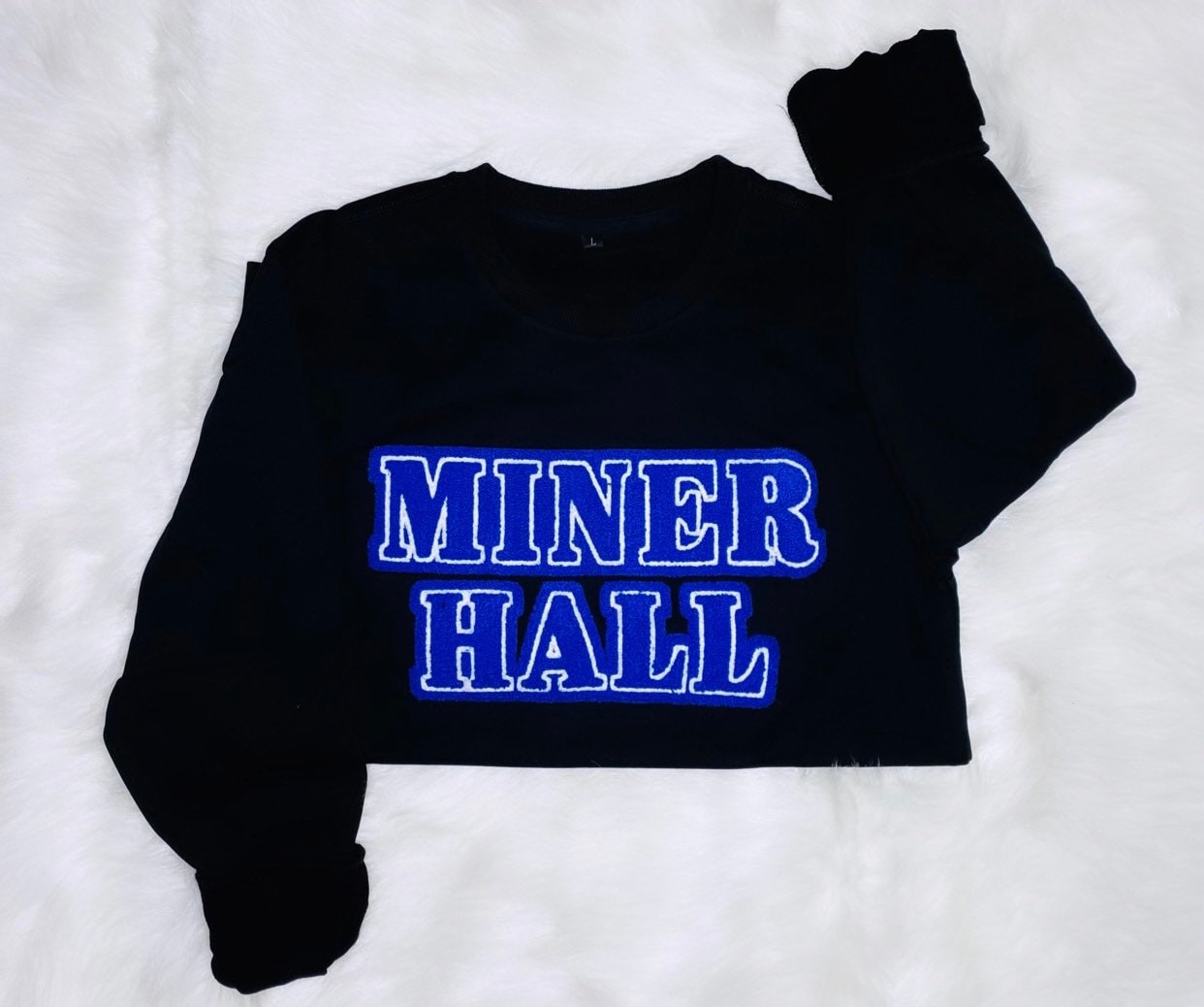 Zeta Phi Beta 1920 Miner Hall Sweatshirt | Z Phi B | ZPhiB | ZPB Crew 