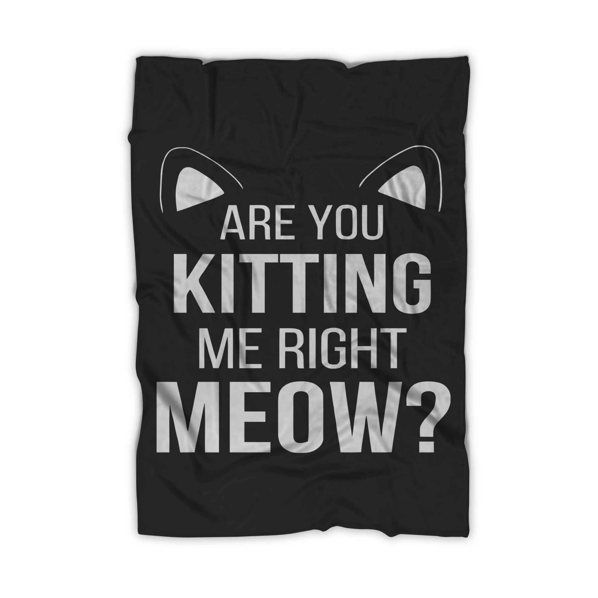 Are You Kitten Me Right Meow Duck Blanket