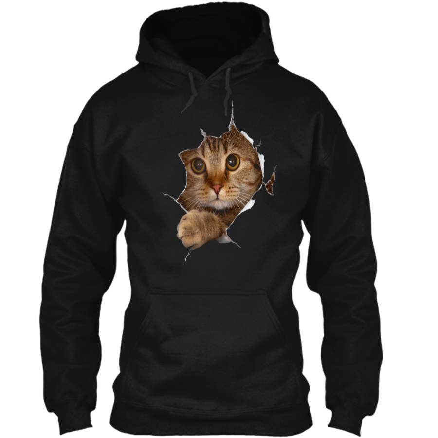 Sweet Kitten Torn Cloth 3D  – Funny Cat Lover Tee Pullover Hoodie 8 oz