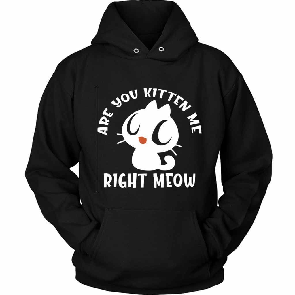 Are You Kitten Me Right Meow Range Unisex Hoodie