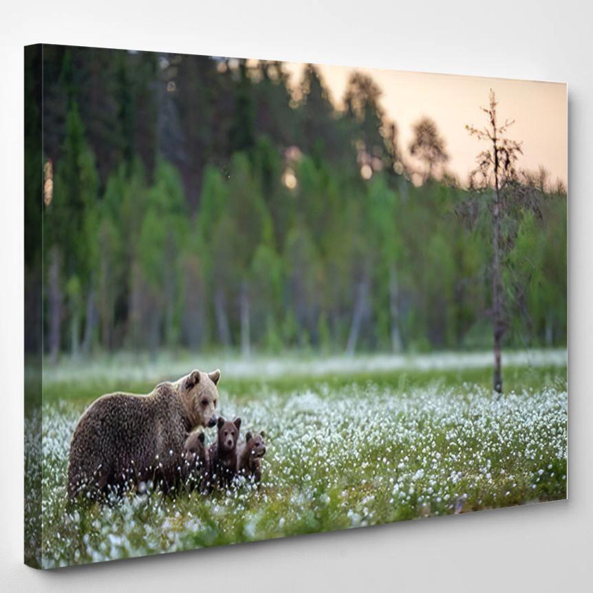 Shebear Bear Cubs Summer Forest On – Bear Animals Canvas Print