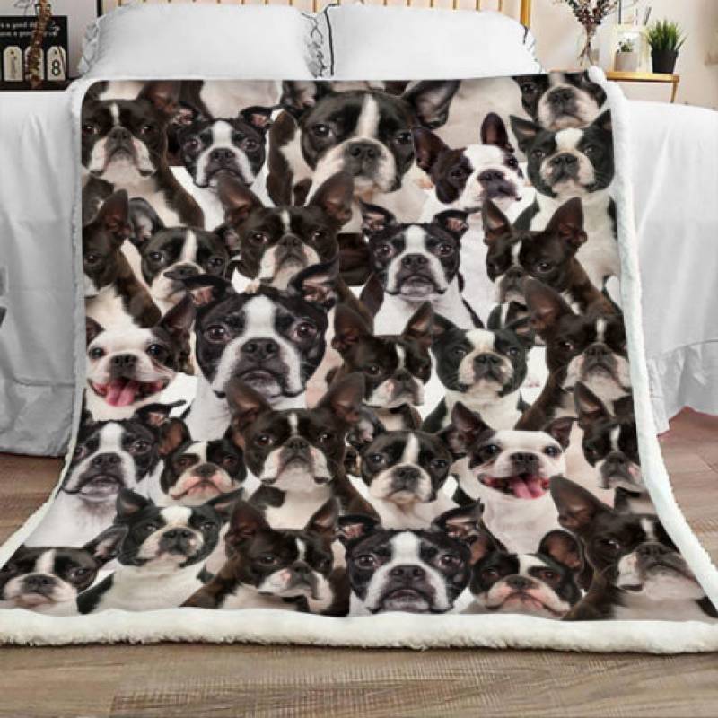 Boston Terrier Dog Sherpa Blanket JR1001 70O39