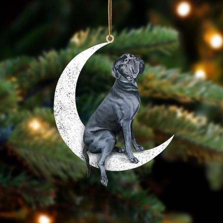 Cane Corso-Sit On The Moon-Two Sided Ornament