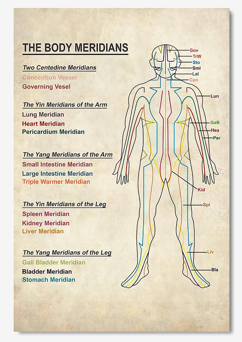 The Body Meridians Medical Knowledge Wall Art For Doctor Hospital Clinic Decor Poster