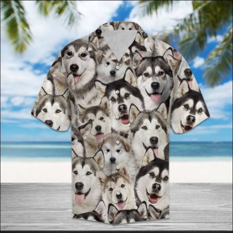 Alaska Hawaiian shirt – dnstyles