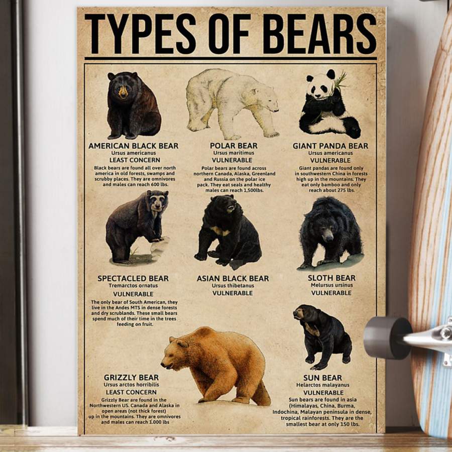 Types Of Bears Trending Gift For Bear Lovers Poster