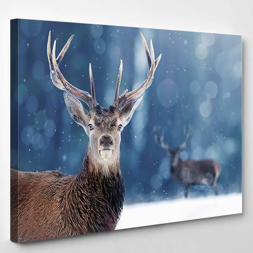 Proud Noble Deer Male Winter Snow 2 – Deer Animals Canvas Print