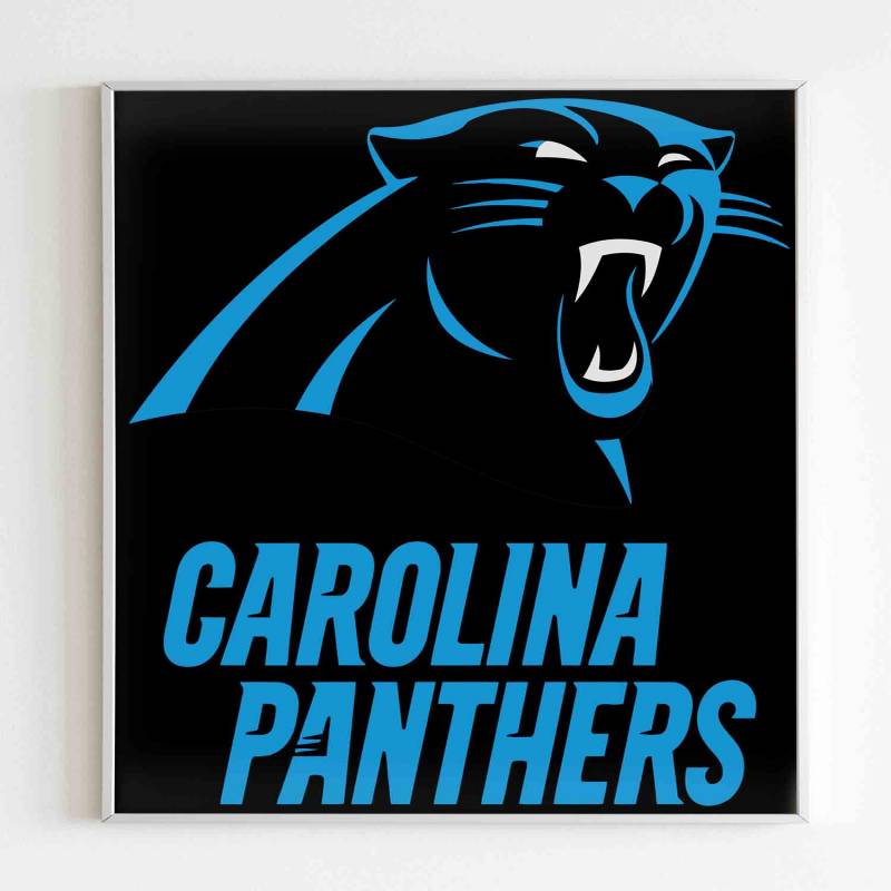 Carolina Panthers Logos Poster