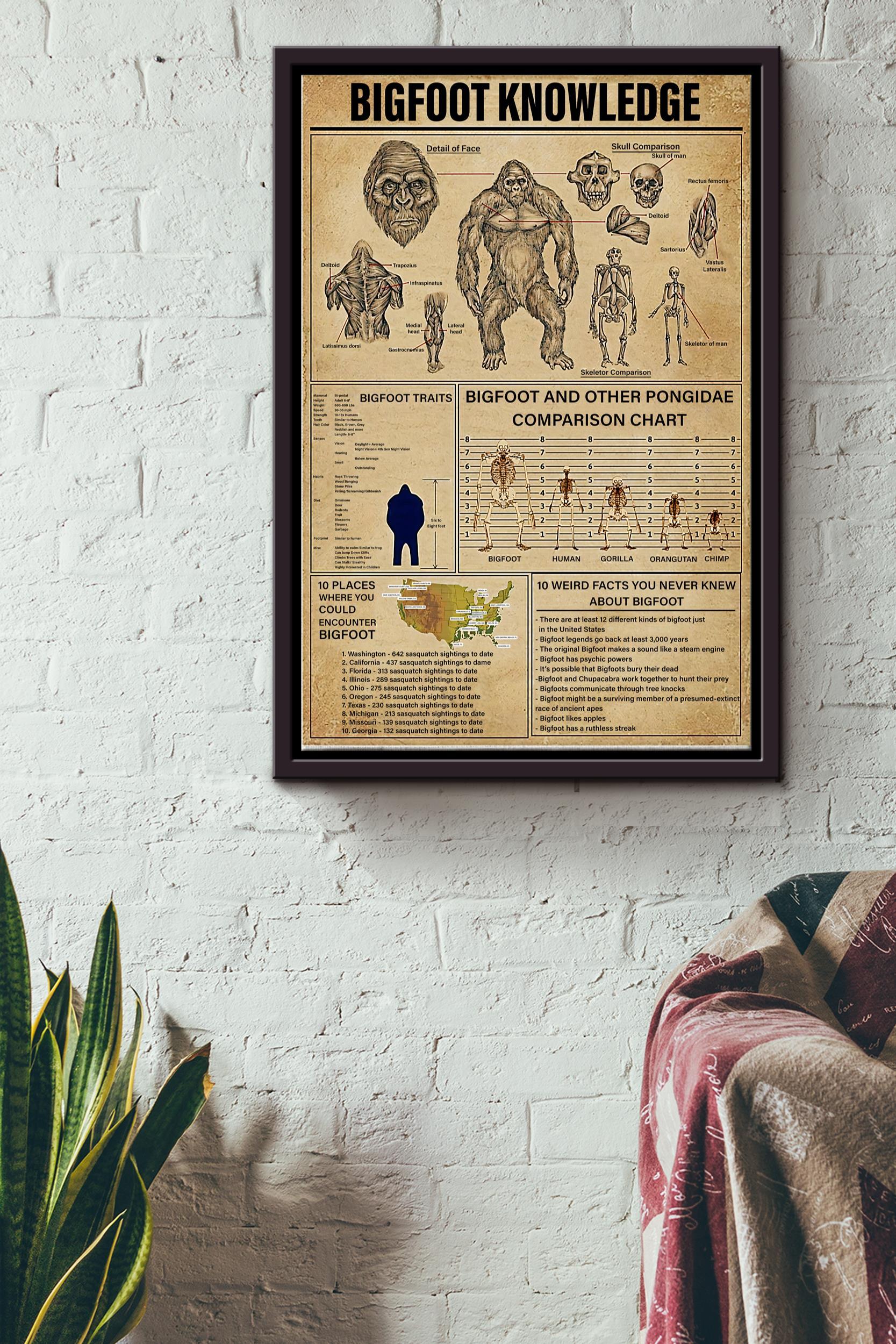 Big Foot Knowledge Basic Information Poster – Fantastic Beasts Wall Art – Gift For Kids Fantastic Beasts Lover Biologist Framed Matte Canvas