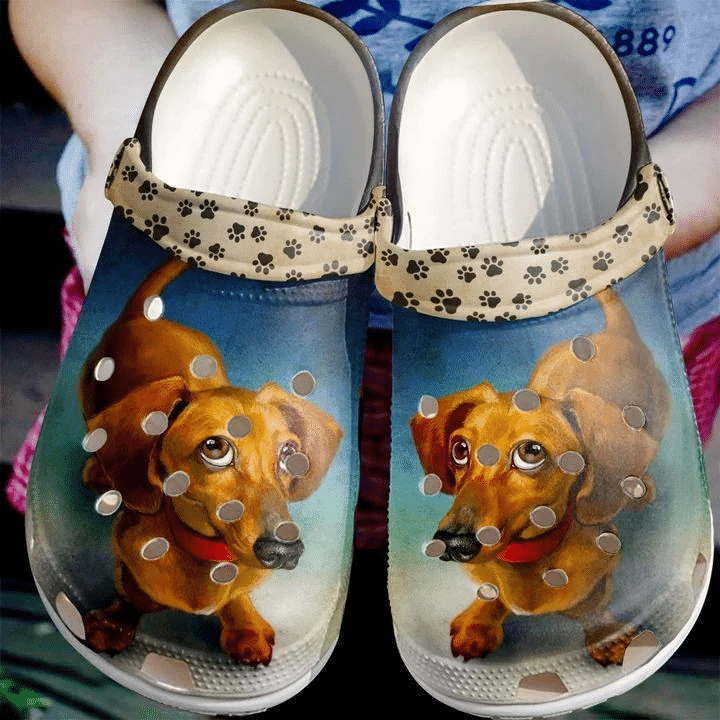 Dachshund Cute Classic Clogs Shoes