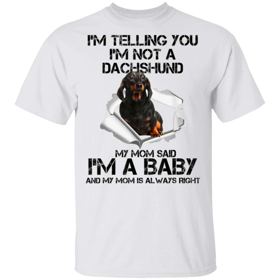 Dachshund Mom Women Gifts For Dachshund Dog Puppy Lovers TShirt