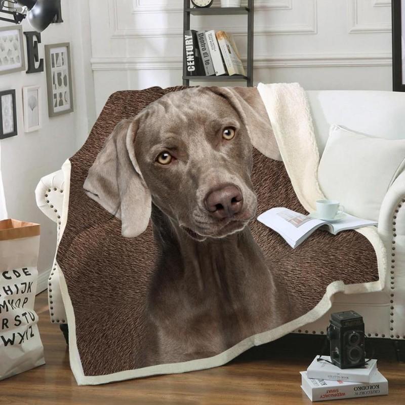 Weimaraner Dog Portrait Fur Printed Blanket