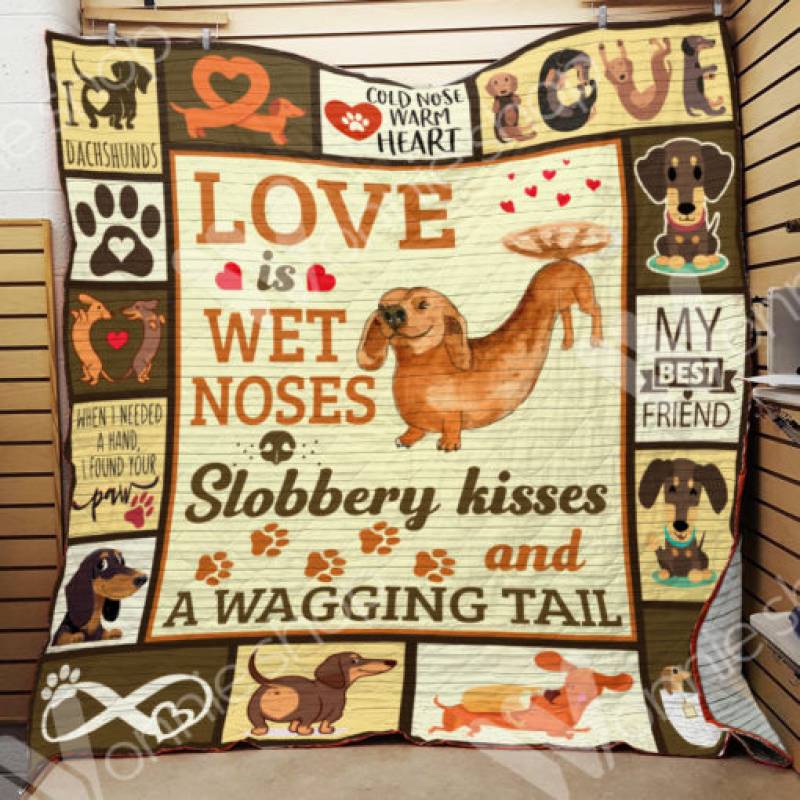 Dachshund Dog Blanket AU0603 90O35