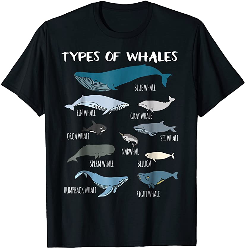 Types Of Whales Cute Ocean Mammals Guide T Shirt