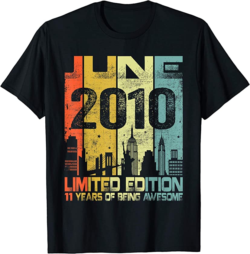 Vintage June 2010 Funny 11th Birthday 11 Years Old Gift T-Shirt