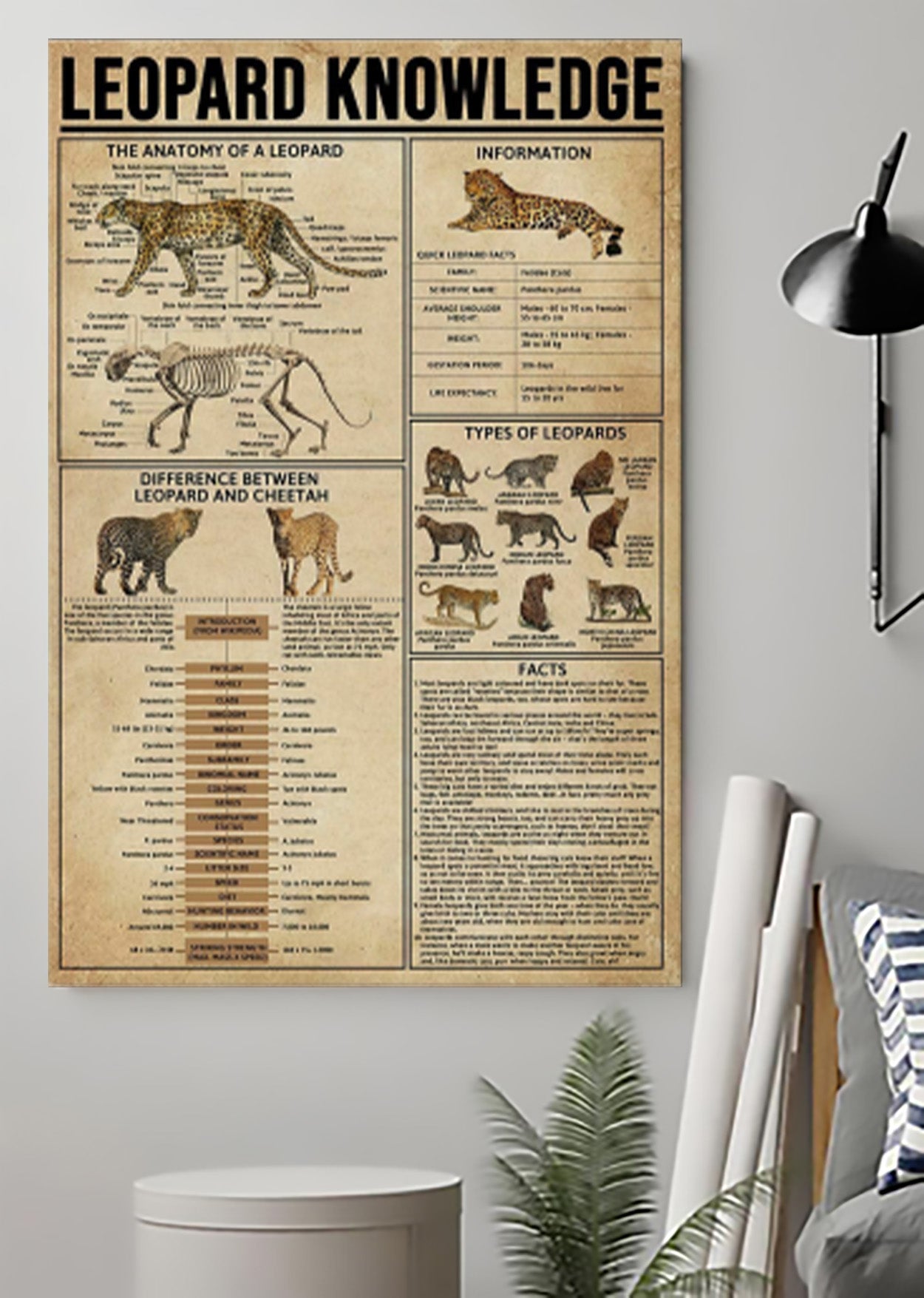 Wild Animal Leopard Knowledge Poster