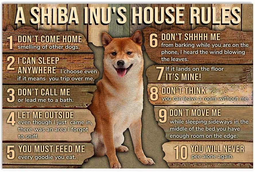 A Shiba Inu S House Rules Poster Perfect Ideas On Xmas Birthday Home Decor