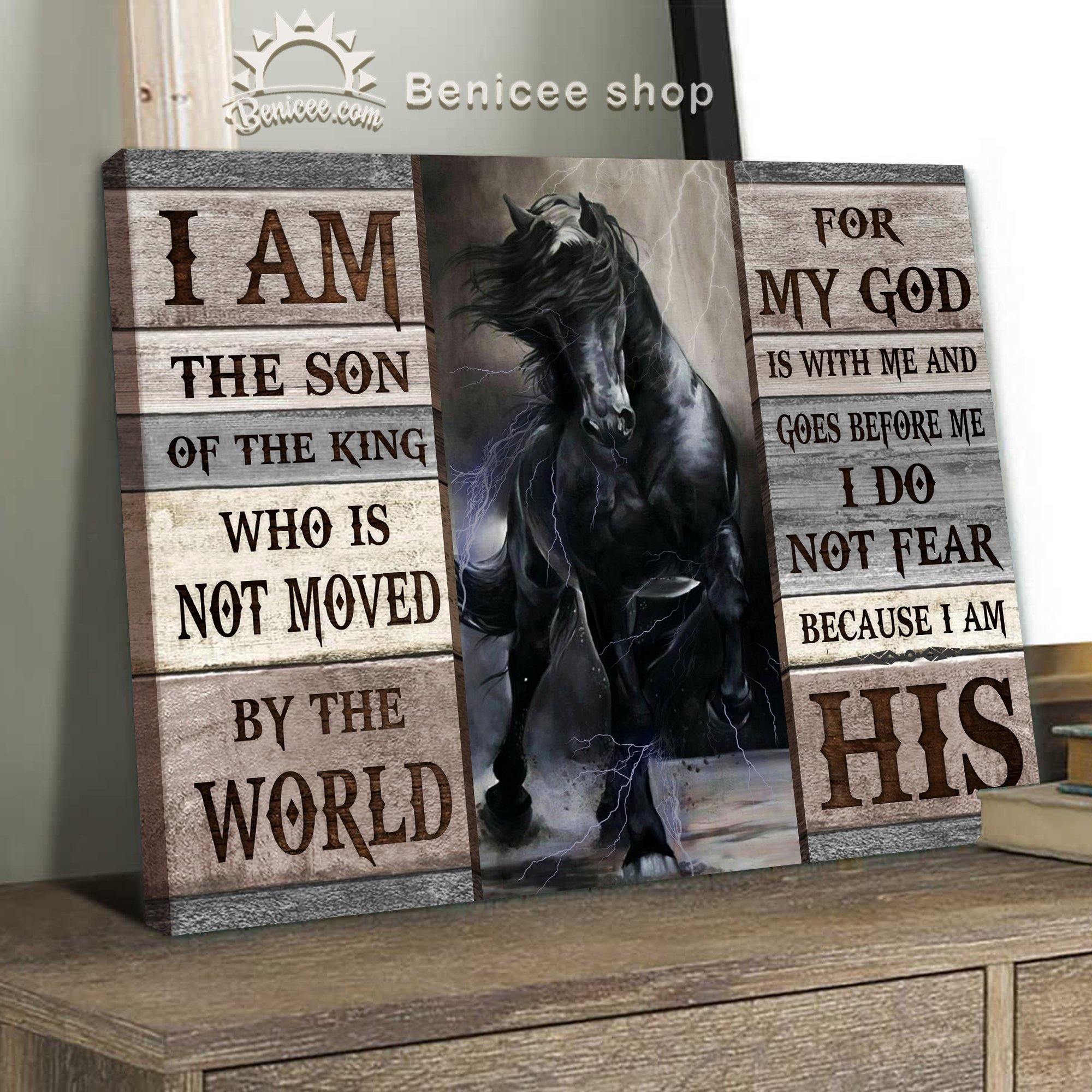 Benicee Horse Motivation Framed/Wrapped Wall Art Canvas I Am The Son Of The King Top 10 Home Decor